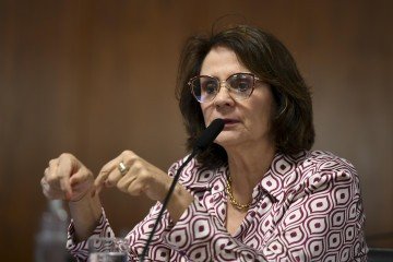 Damares ainda ressaltou que viaja pelo Brasil estimulando vereadores a apresentarem projetos semelhantes em seus municípios -  (crédito:  Edilson Rodrigues/Agência Senad)
