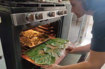 As folhas da chaya podem ser usadas como acompanhamento crocante