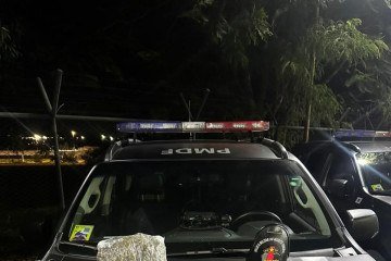 PMDF prende homem por tráfico interestadual de drogas -  (crédito: PMDF/Divulgação)