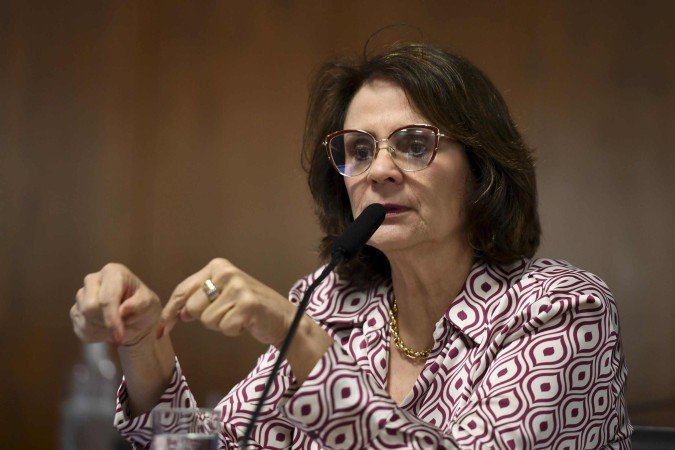 Damares ainda ressaltou que viaja pelo Brasil estimulando vereadores a apresentarem projetos semelhantes em seus municípios - (crédito: Edilson Rodrigues/Agência Senad) Damares ainda ressaltou que viaja pelo Brasil estimulando vereadores a apresentarem projetos semelhantes em seus municípios - (crédito: Edilson Rodrigues/Agência Senad)