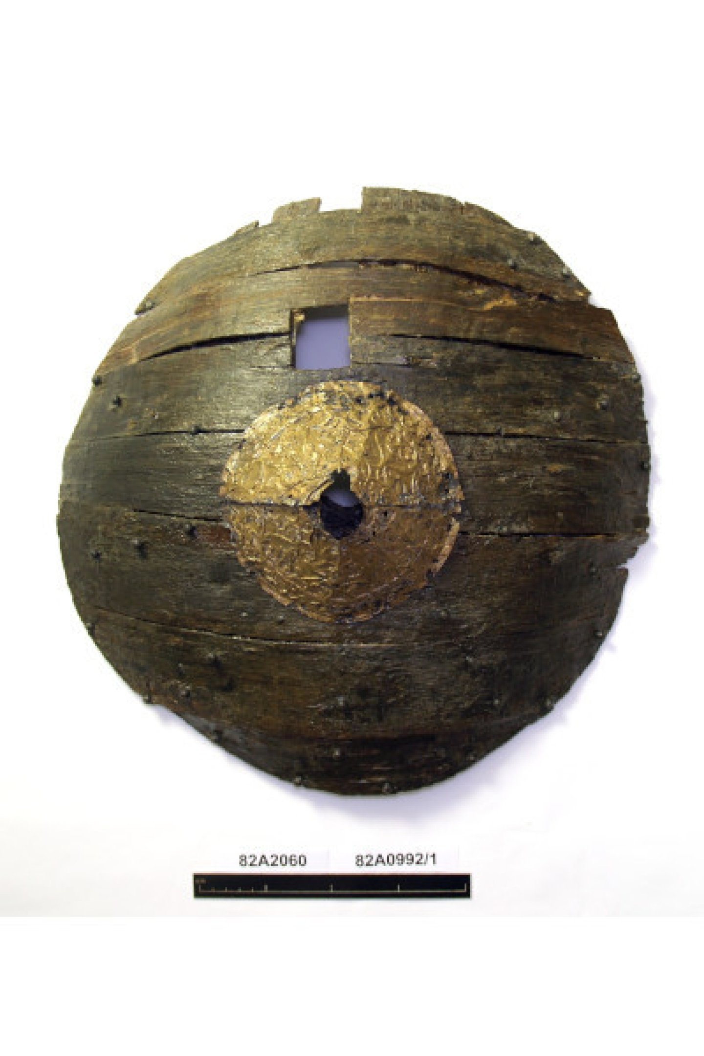 Um escudo de arma do Mary Rose