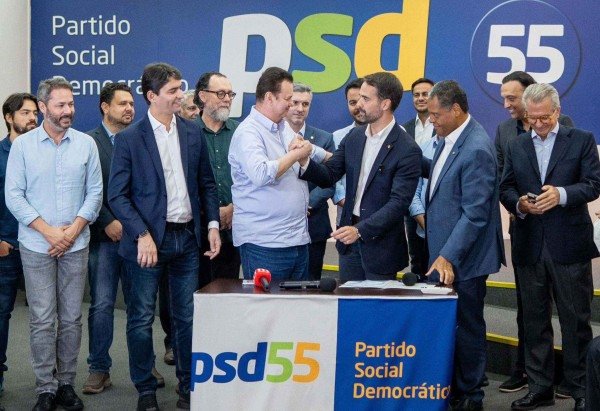 Divulgação