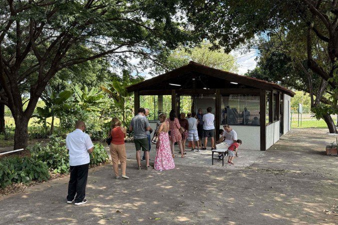 Fila da vacinação no Posto de Saúde da 612 sul - (crédito: Pedro Ibarra/CB/D.A Press) Fila da vacinação no Posto de Saúde da 612 sul - (crédito: Pedro Ibarra/CB/D.A Press)