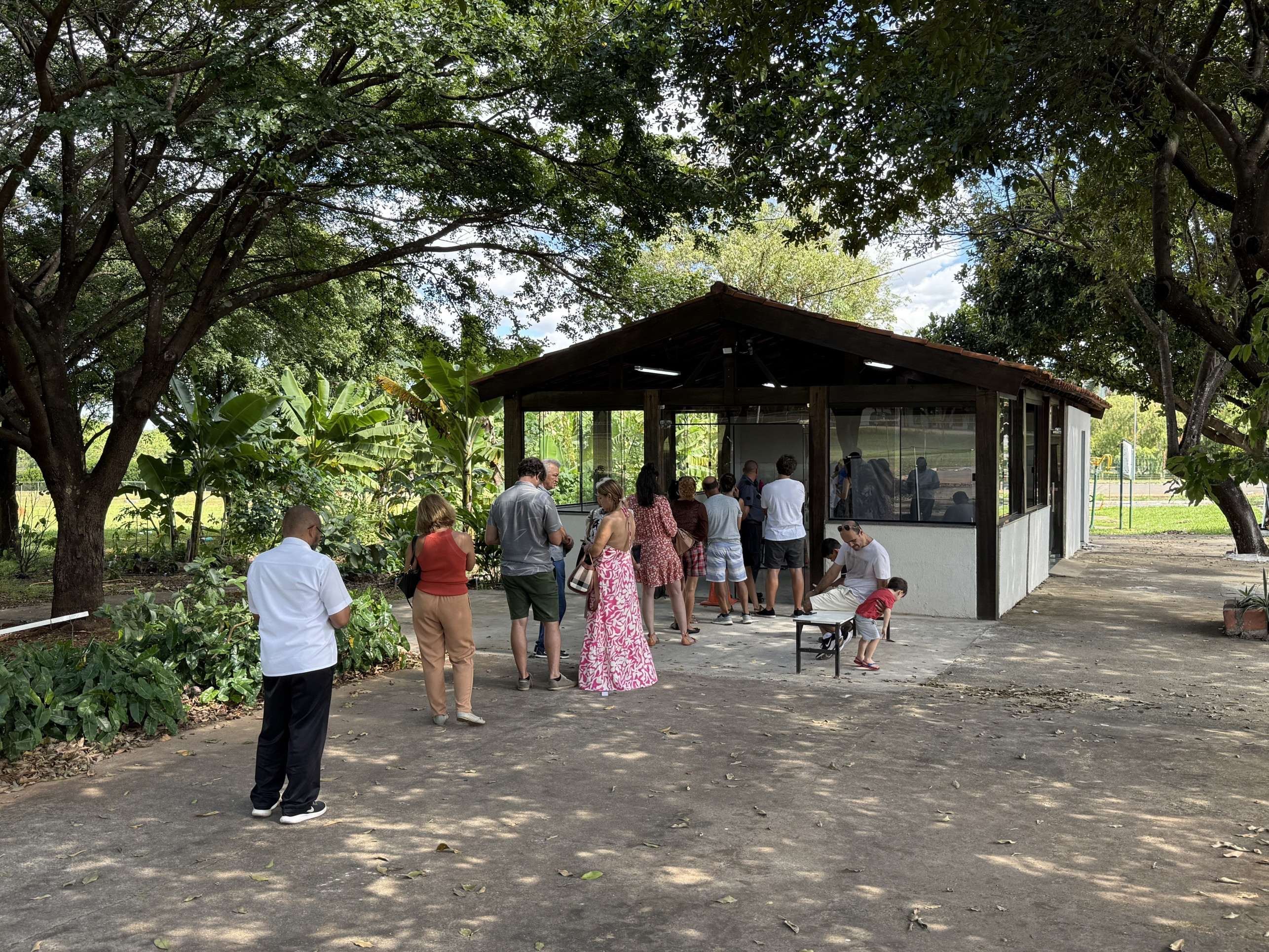Ainda dá tempo! Dia D da vacinação da gripe tem pouca fila e muita vacina