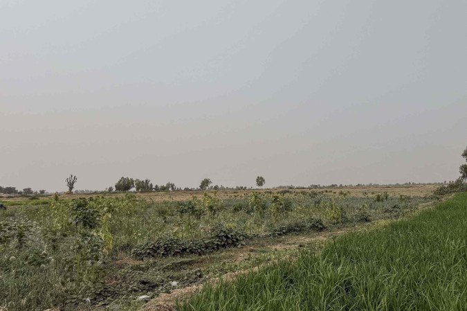 Vista geral de um arrozal em uma fazenda de irrigação perto do Rio Sokoto, em Argungu, Nigéria, em 12 de abril de 2025
- (crédito: Suzanne Lassen/AFP) Vista geral de um arrozal em uma fazenda de irrigação perto do Rio Sokoto, em Argungu, Nigéria, em 12 de abril de 2025
- (crédito: Suzanne Lassen/AFP)