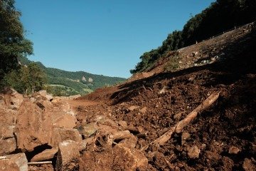Desmatamento avança na área mais nobre da Mata Atlântica
