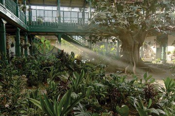 Cena de 100 anos de solidão