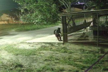 Os homens foram identificados por meio de câmeras de segurança de um dos locais roubados -  (crédito: PMDF)