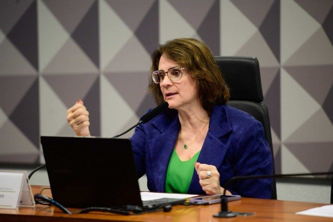 Para Damares Alves, o projeto torna a legislação mais aderente à realidade social brasileira -  (crédito:  Saulo Cruz/Agência Senado)