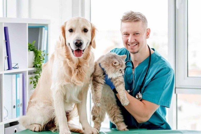 Os check-ups regulares permitem que a equipe veterinária identifique mudanças sutis e aja precocemente (Imagem: T.Vyc | Shutterstock) - (crédito: EdiCase) Os check-ups regulares permitem que a equipe veterinária identifique mudanças sutis e aja precocemente (Imagem: T.Vyc | Shutterstock) - (crédito: EdiCase)