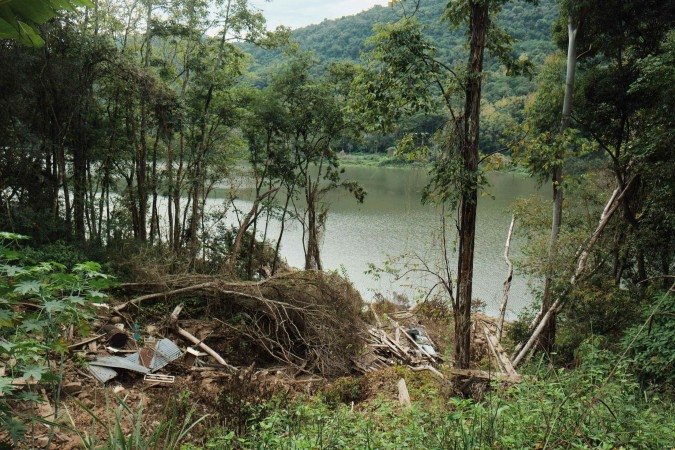 Estudo mostra que Piauí e Bahia lideram o desmatamento da Mata Atlântica