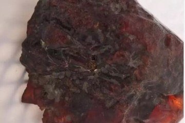 Surpresa: Família descobre que 