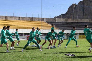 Palmeiras deve rodar elenco na Libertadores -  (crédito: Foto: Cesar Greco/Palmeiras)