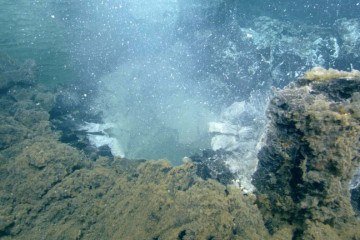 Micróbios e resíduos fluem desta abertura 'sugadora de neve' no Monte Submarino Axial, três meses após a erupção em 2011 
 -  (crédito: Divulgação/Iniciativa de Observatórios Oceânicos)