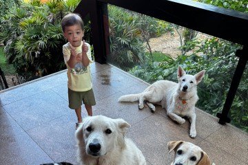 Bruna tem em casa 11 cachorros, 5 gatos, um porco e um bode -  (crédito: Foto: arquivo pessoal)