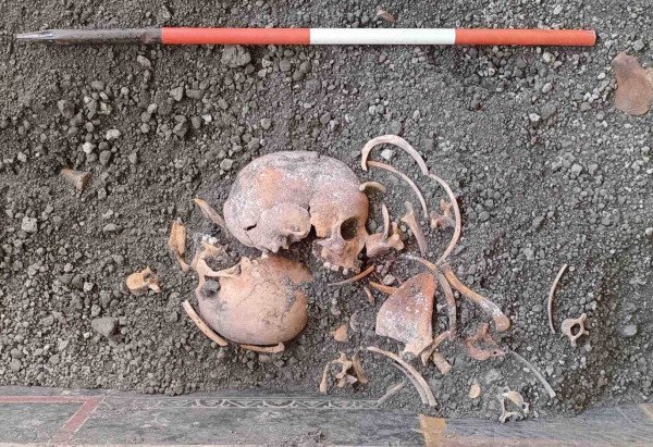 Reprodução/Parque Arqueológico de Pompeia