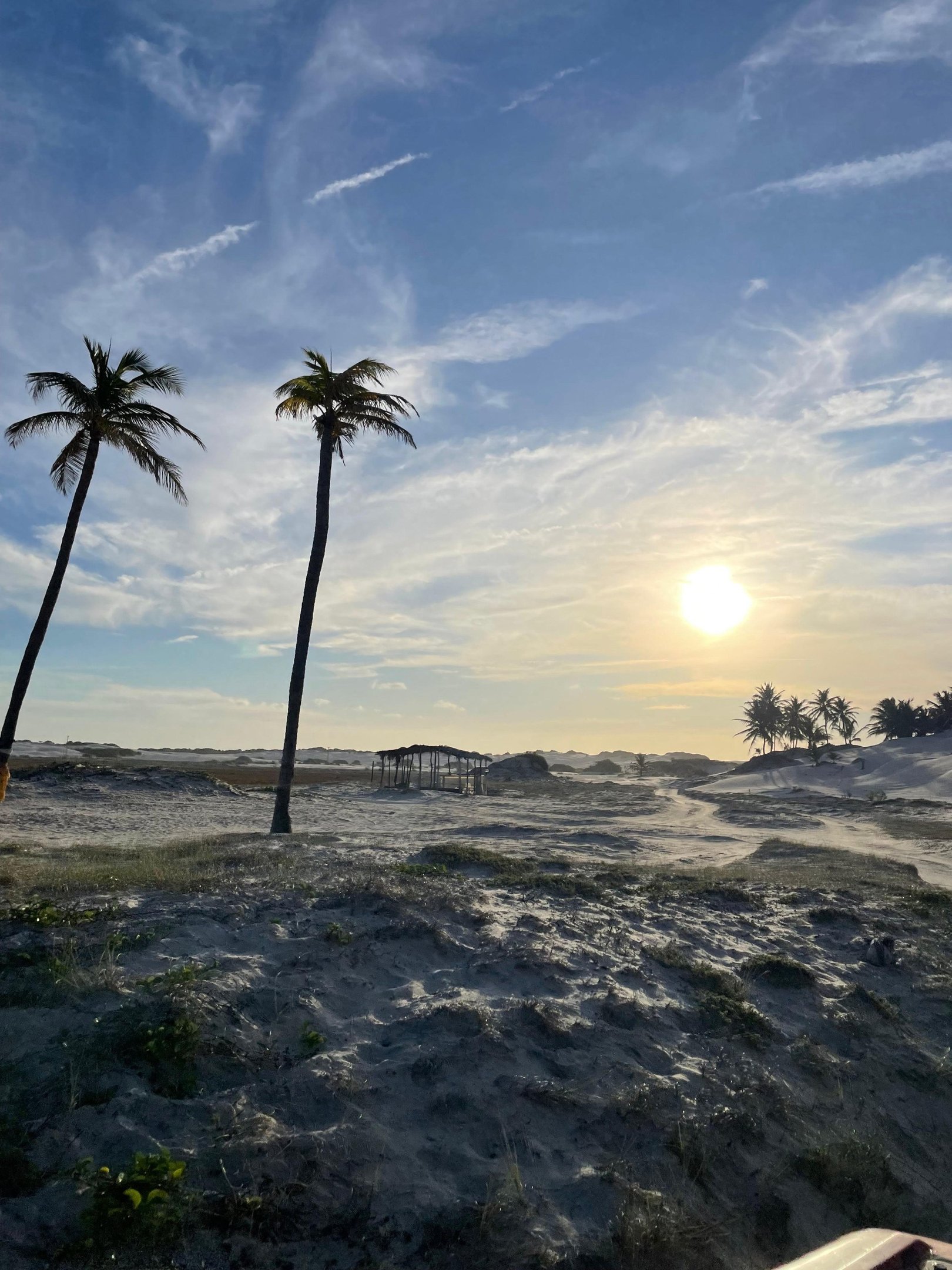 O ator e produtor Josuel Junior e o artista visual Arthur Scovino no projeto Expedição Mangue Seco