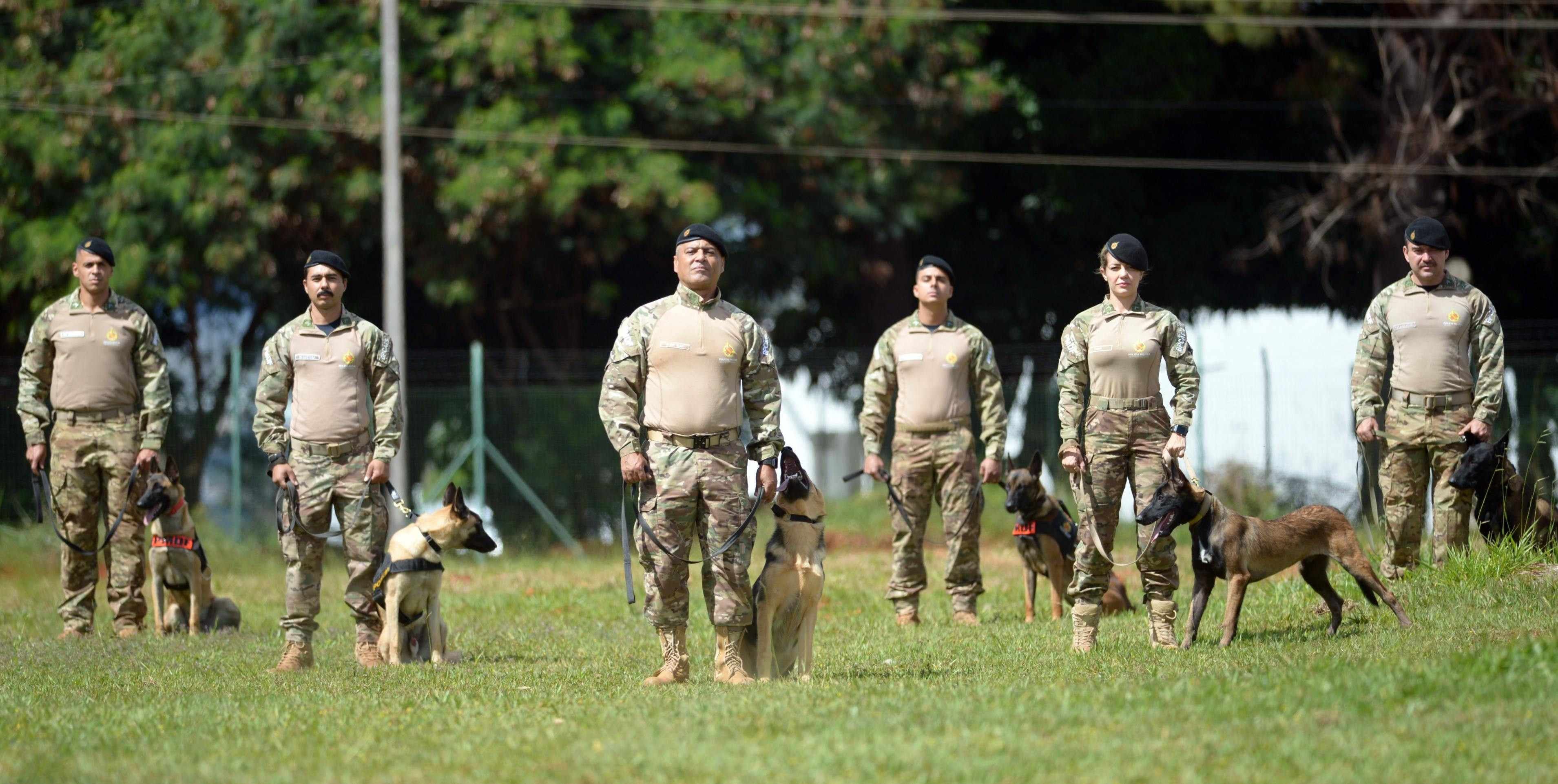 O treinamento dos cães é feito para a detecção de drogas, explosivos e pessoas desaparecidas