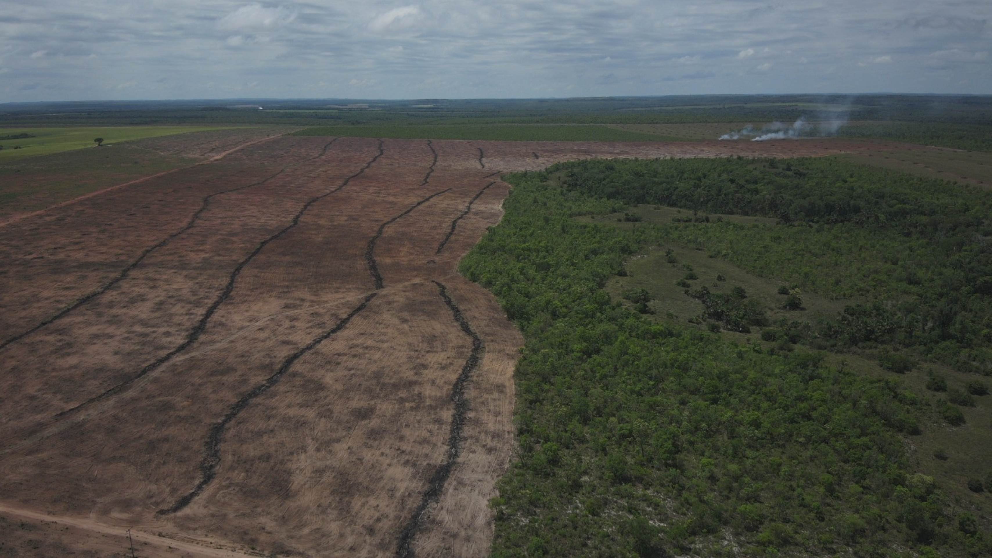 A medida, que institui a Lei Geral do Licenciamento Ambiental, flexibiliza concessão de licenciamentos ambientais para obras de potencial degradação do meio ambiente -  (crédito: Divulgação/Ibama)