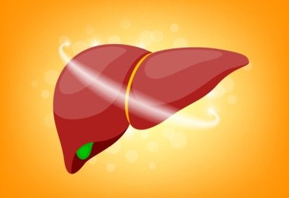 A gordura no fígado é uma condição delicada, mas reversível (Imagem: wowowG | Shutterstock) -  (crédito: EdiCase)