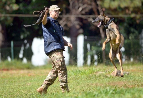 Ed Alves CB/DA Press