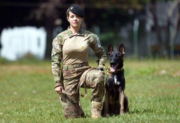  Ed Alves CB/DA Press