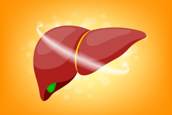 A gordura no fígado é uma condição delicada, mas reversível (Imagem: wowowG | Shutterstock) - (crédito: EdiCase) A gordura no fígado é uma condição delicada, mas reversível (Imagem: wowowG | Shutterstock) - (crédito: EdiCase)