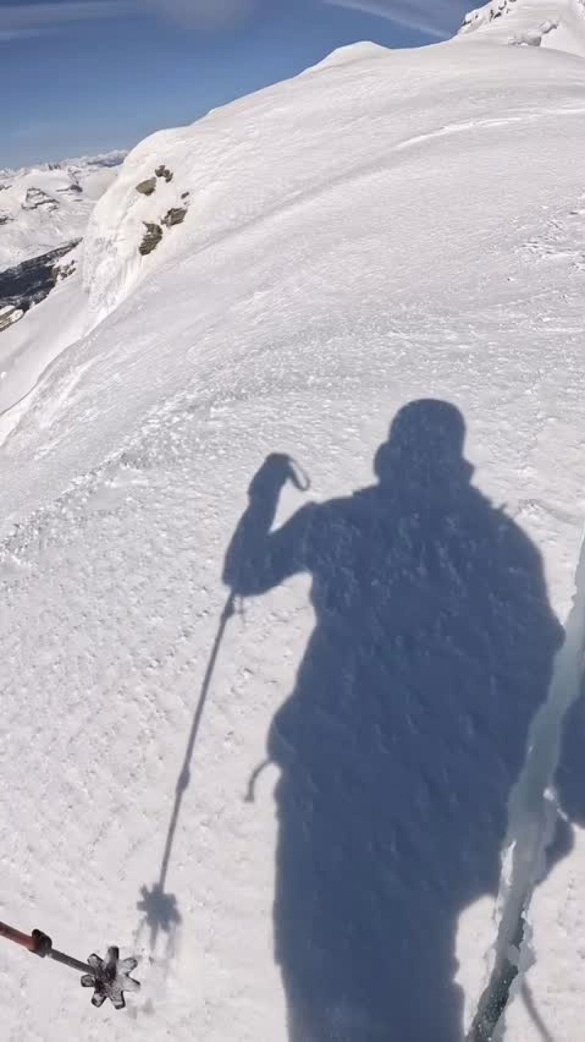 Avalanche -  (crédito: Reprodução/Instagram)