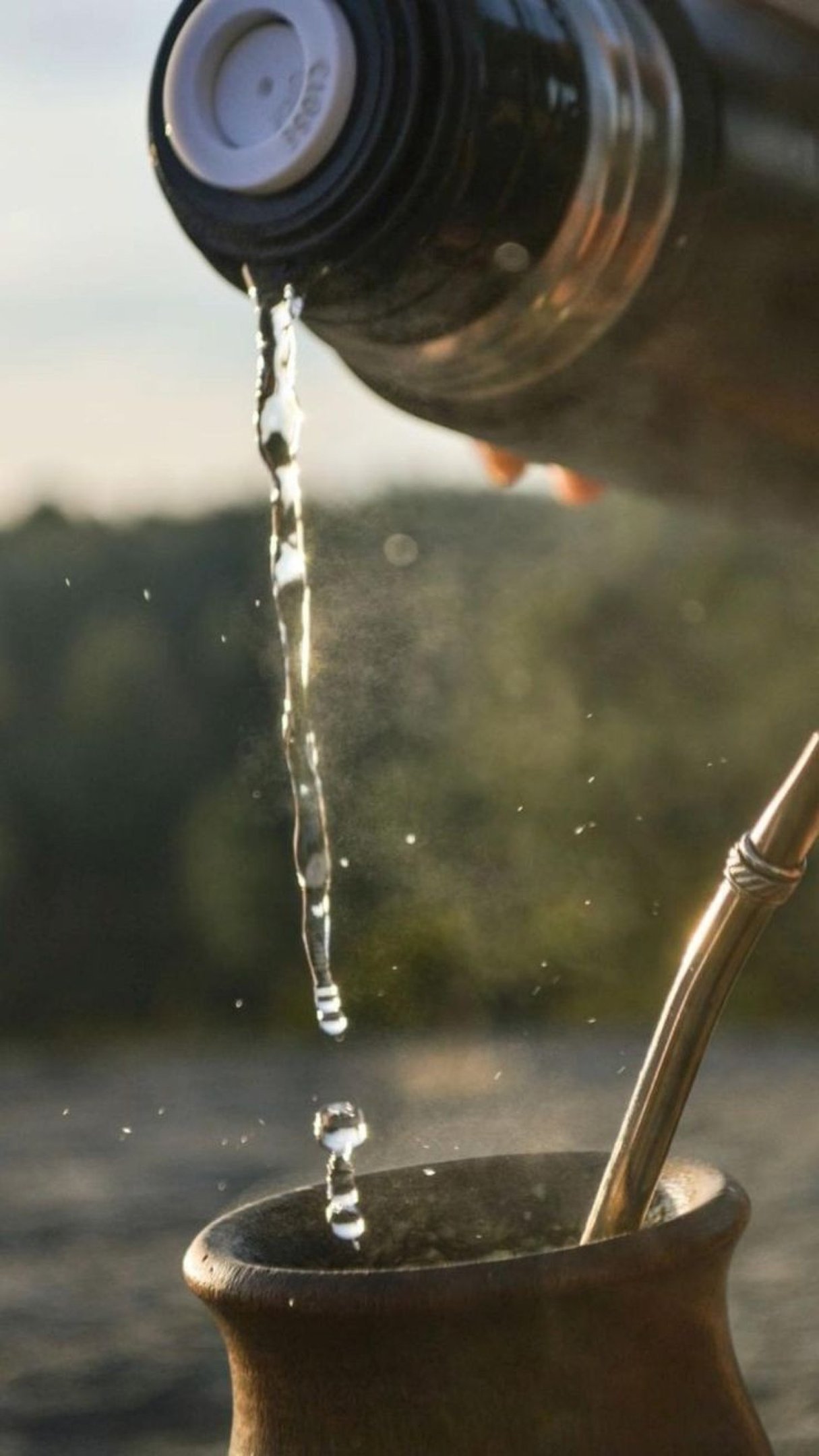 O chimarrão se diferencia por ser feito com água quente 
