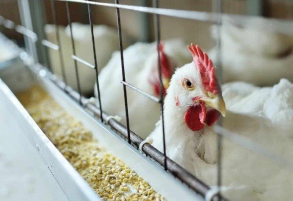 Leandro Osorio/Estadão Conteúdo