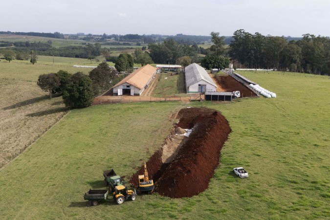 Além da varredura inicial, 19 propriedades dentro do raio de 3km da grana infectada (foto) foram revisitadas pelos técnicos da Secretaria Estadual da Agricultura, Pecuária, Produção Sustentável e Irrigação - (crédito: AFP) Além da varredura inicial, 19 propriedades dentro do raio de 3km da grana infectada (foto) foram revisitadas pelos técnicos da Secretaria Estadual da Agricultura, Pecuária, Produção Sustentável e Irrigação - (crédito: AFP)