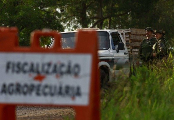  AFP