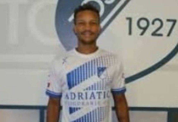 Divulgação