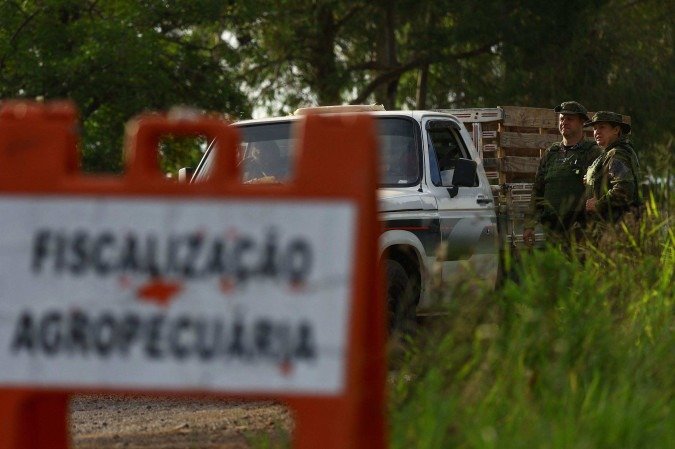 Governos intensificam ações para preservar a imagem do país como um dos maiores exportadores mundiais de proteína animal - (crédito: AFP) Governos intensificam ações para preservar a imagem do país como um dos maiores exportadores mundiais de proteína animal - (crédito: AFP)