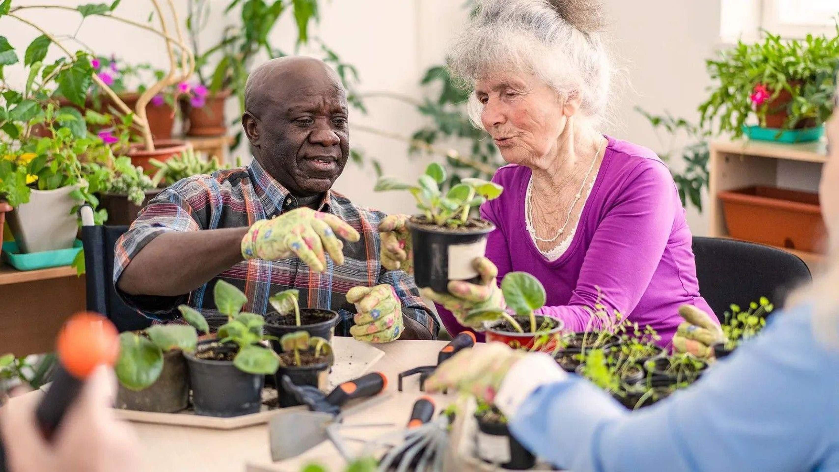 Pesquisas mostram que a jardinagem preserva a função cognitiva, ajudando você a viver bem por mais tempo -  (crédito: Getty Images)