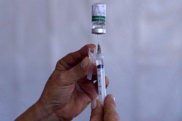  HUB-UnB realiza campanha de vacinação contra a influenza

 -  (crédito:  Ed Alves CB/DA Press)
