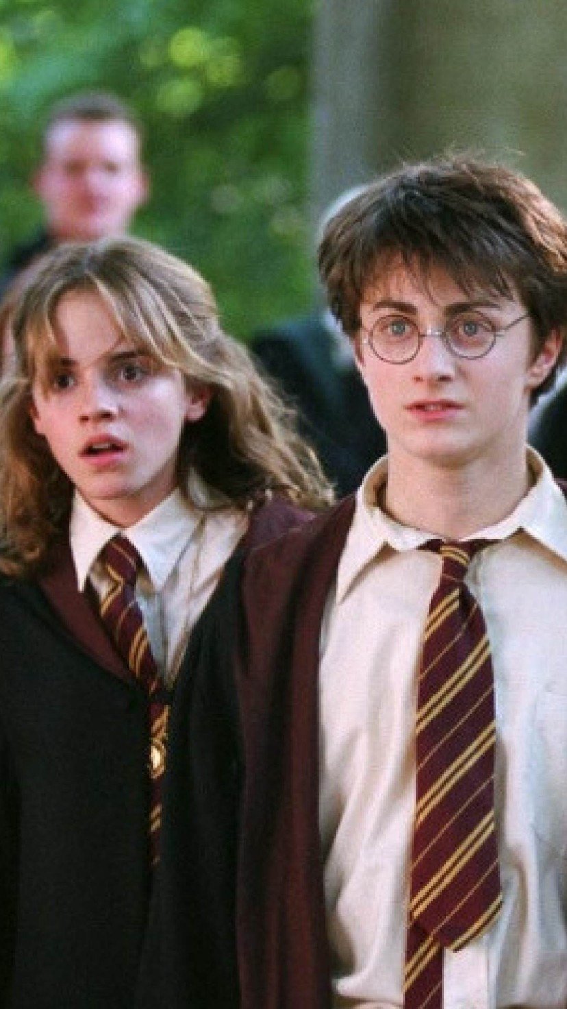 Harry Potter -  (crédito: Reprodução / Warner)