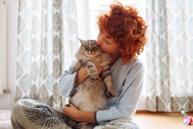 Cuidados com os gatos vão além de oferecer comida e abrigo (Imagem: larisa Stefanjuk | Shutterstock) - (crédito: EdiCase) Cuidados com os gatos vão além de oferecer comida e abrigo (Imagem: larisa Stefanjuk | Shutterstock) - (crédito: EdiCase)