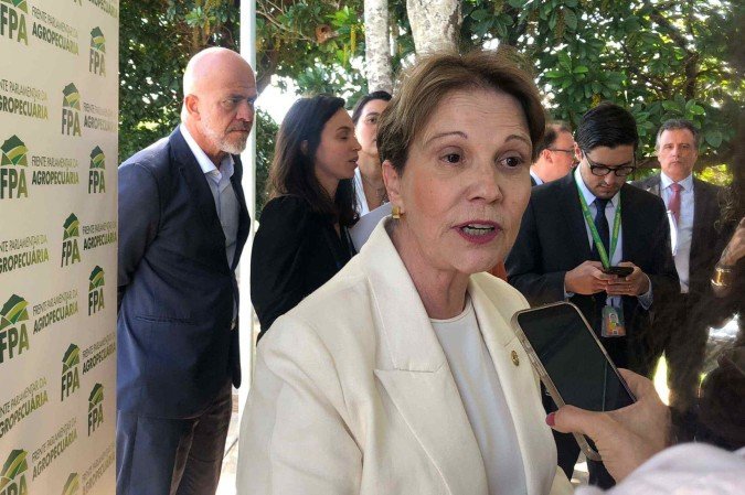 "Na verdade, hoje nós não temos um marco de licenciamento ambiental. Nós temos um emaranhado de instruções normativas, de leis estaduais, que cada um fala uma coisa", comentou Tereza Cristina - (crédito: Danandra Rocha/CB/DA.Press) "Na verdade, hoje nós não temos um marco de licenciamento ambiental. Nós temos um emaranhado de instruções normativas, de leis estaduais, que cada um fala uma coisa", comentou Tereza Cristina - (crédito: Danandra Rocha/CB/DA.Press)