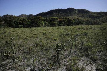 É por meio do licenciamento ambiental que o poder público autoriza a instalação, ampliação e operação de empreendimentos que utilizam recursos naturais ou podem causar impacto ao meio ambiente -  (crédito: Joédson Alves/Agência Brasil)