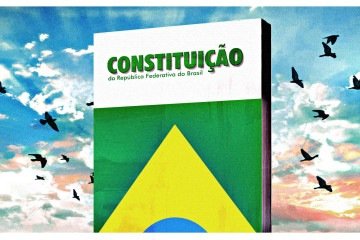 Constituição -  (crédito: Maurenilson Freire)