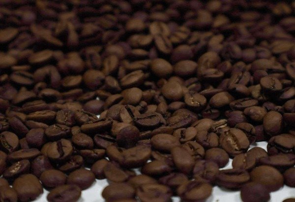 Bruna Gaston CB/DA Press