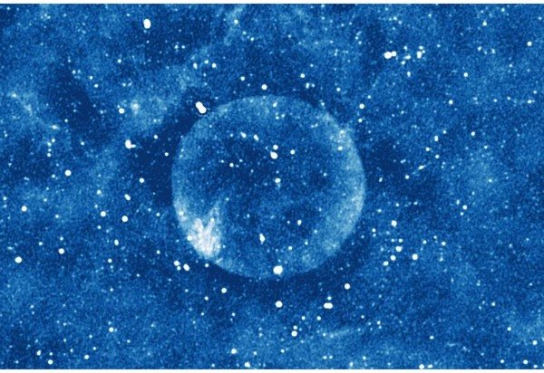 Filipovic et al. 2025
