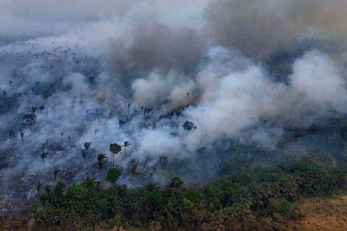 Amazônia é uma das principais florestas tropicais afetadas pelos incêndios registrados em 2024 - (crédito: Getty Images) Amazônia é uma das principais florestas tropicais afetadas pelos incêndios registrados em 2024 - (crédito: Getty Images)