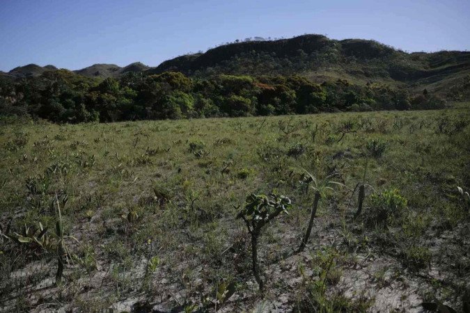 Projeto que facilita licença ambiental é retrocesso, diz professor