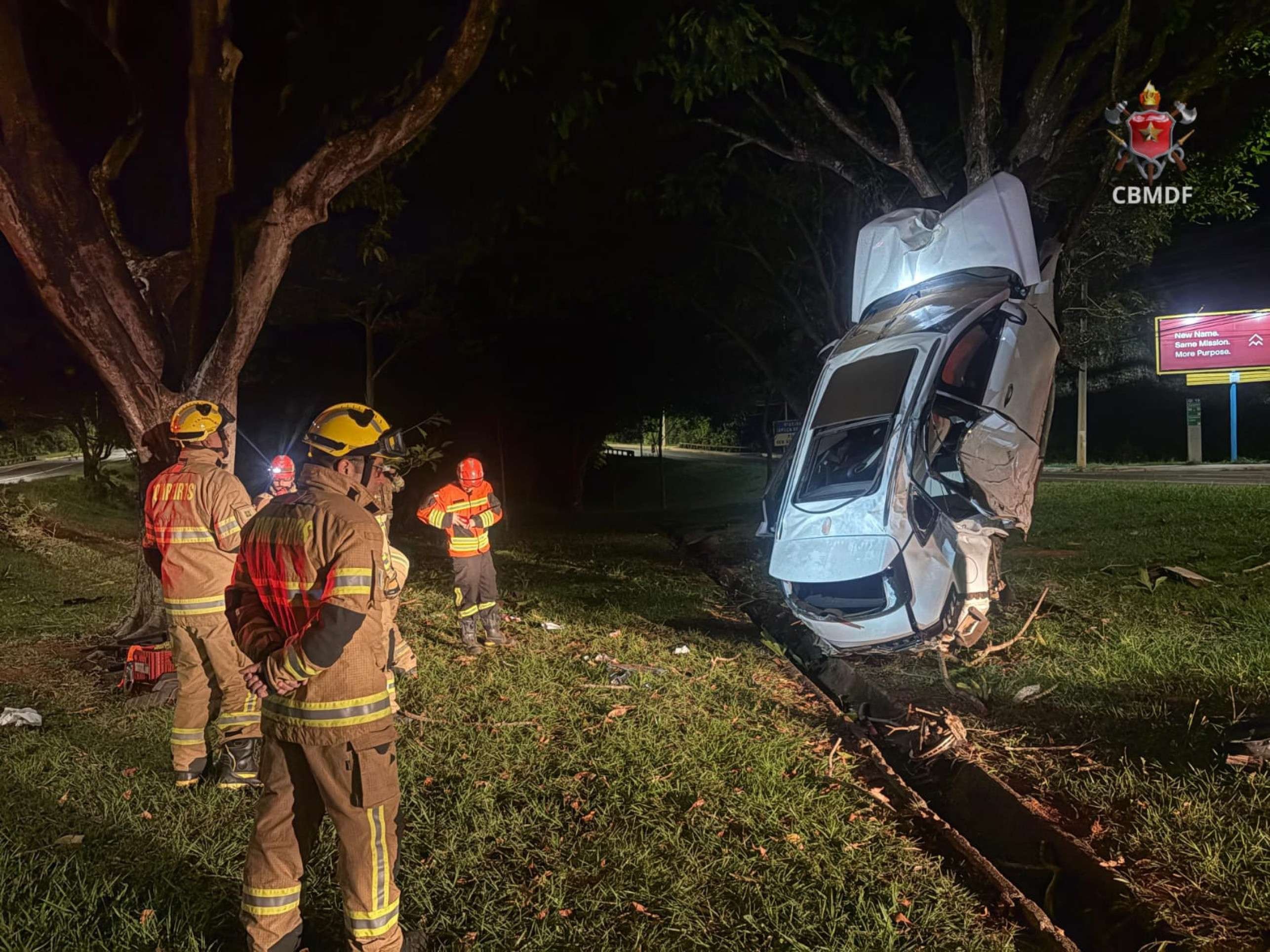 Carro capota, no Lago Sul, bate em árvore e fica em pé
