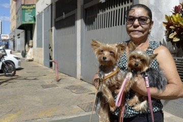 Elza Valente vive há mais de 25 anos em Taguatinga e não pretende se mudar. 'Aqui tem tudo' -  (crédito: Fotos: Marcelo Ferreira/CB/D.A Press)