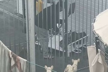 Vídeo mostra Elizabeth Perrin atacando cachorros com uma pá de metal -  (crédito: Reprodução/Daily Mail)