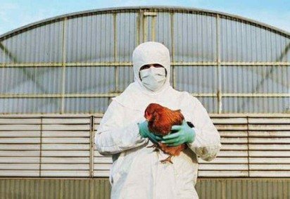 O sintoma mais frequente relacionado ao vírus H5N1 é a irritação nos olhos -  (crédito: Getty Images)