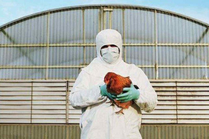 O sintoma mais frequente relacionado ao vírus H5N1 é a irritação nos olhos - (crédito: Getty Images) O sintoma mais frequente relacionado ao vírus H5N1 é a irritação nos olhos - (crédito: Getty Images)